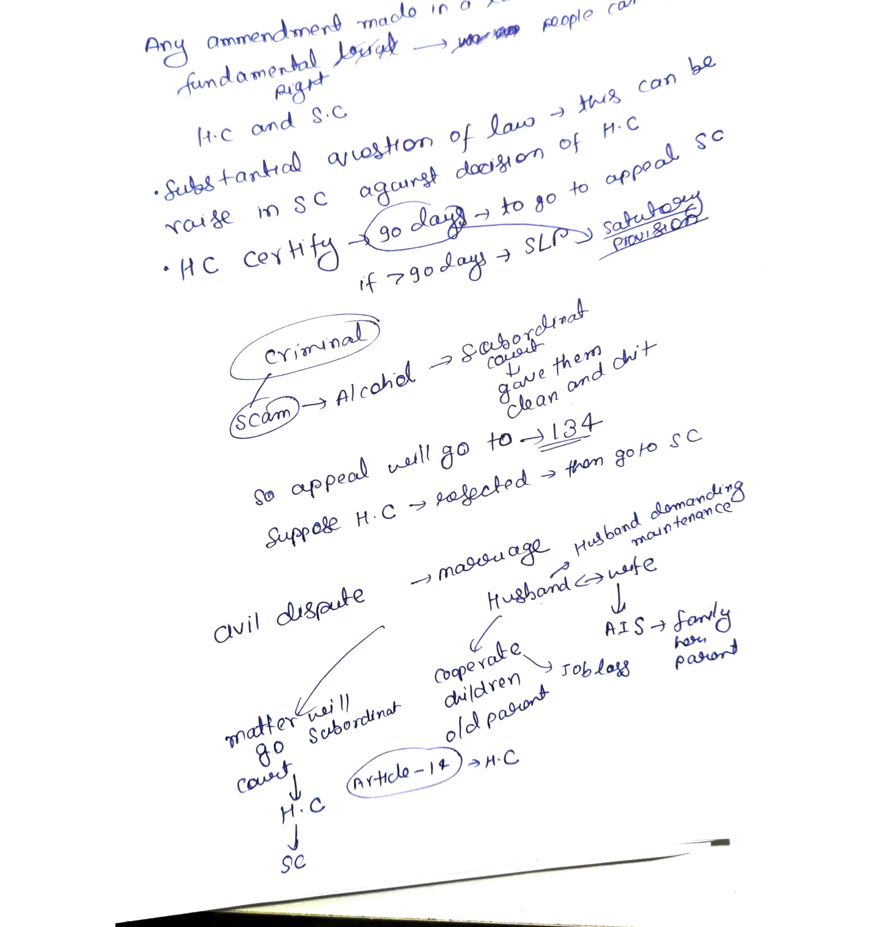 Appellate worked examples (criminal scam & civil maintenance) — class board notes